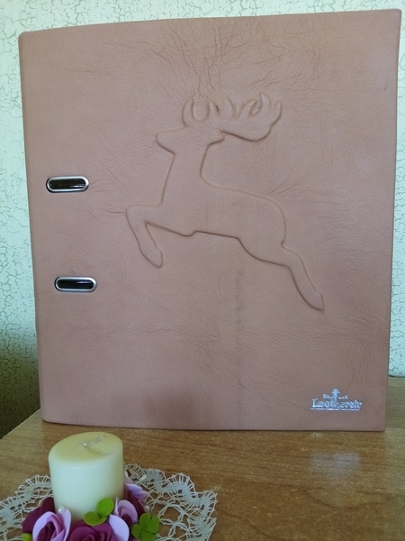 Briežuciemam sava pavasara grāmata