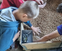 Skolēni gūst noderīgas zināšanas un piedalās aizrautīgās aktivitātēs