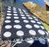 Enkura svars ir gandrīz 100 kg (foto).