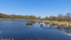 Enkura svars ir gandrīz 100 kg (foto).