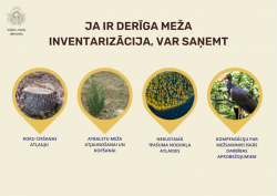 meža inventarizacija