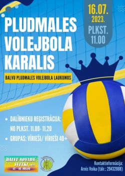 Pludmales volejbola karalis