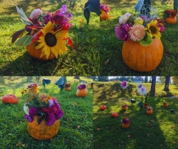 Aktuālā informācija projekta “Deinstitucionalizācijas pasākumu īstenošana Latgales reģionā” Nr. 9.2.2.1/15/I/005 ietvaros 