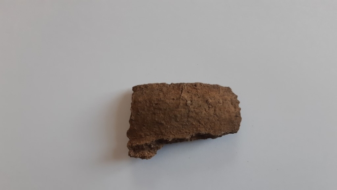 Viļakas muzejā lekcija “Loginu senkapu 2019.gada izpētes rezultāti”