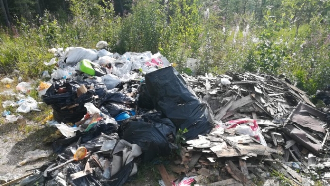 Dabā izgāzti atkritumi