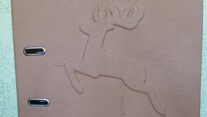 Briežuciemam sava pavasara grāmata