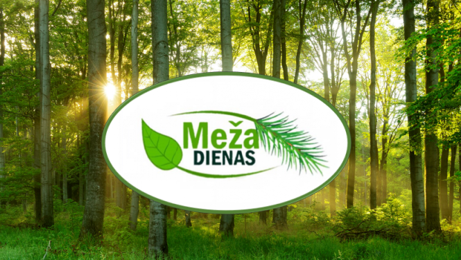 26. septembrī aicina piedalīties "Meža dienu 2023" seminārā Balvos 
