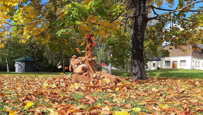 Sveiciens vingrotajiem