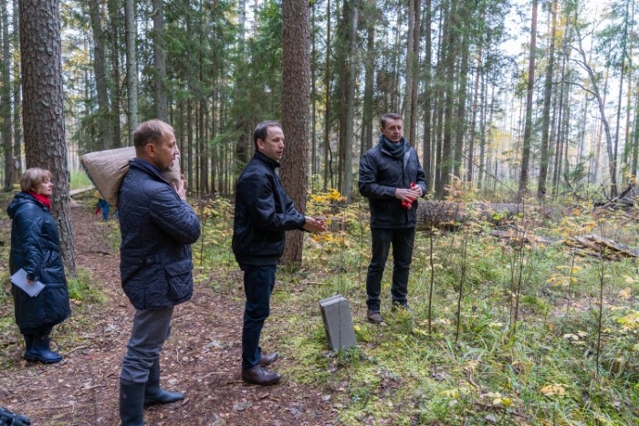 stompaku atjaunošana