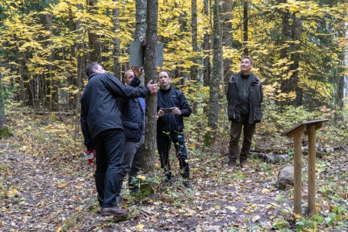 stompaku atjaunošana