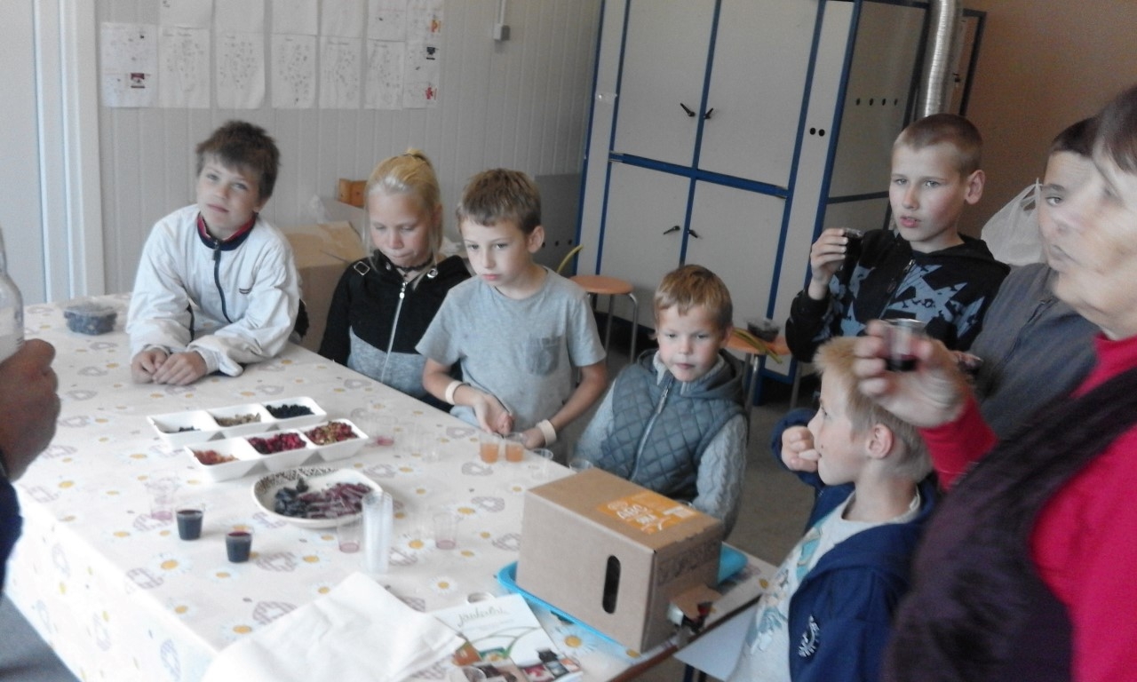 Projekts "Pasākumi vietējās sabiedrības veselības veicināšanai Balvu novadā"