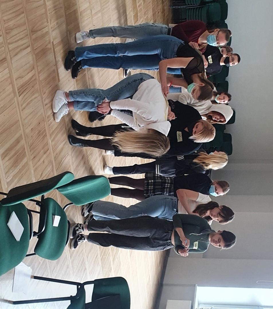 līdzdalības karuselis