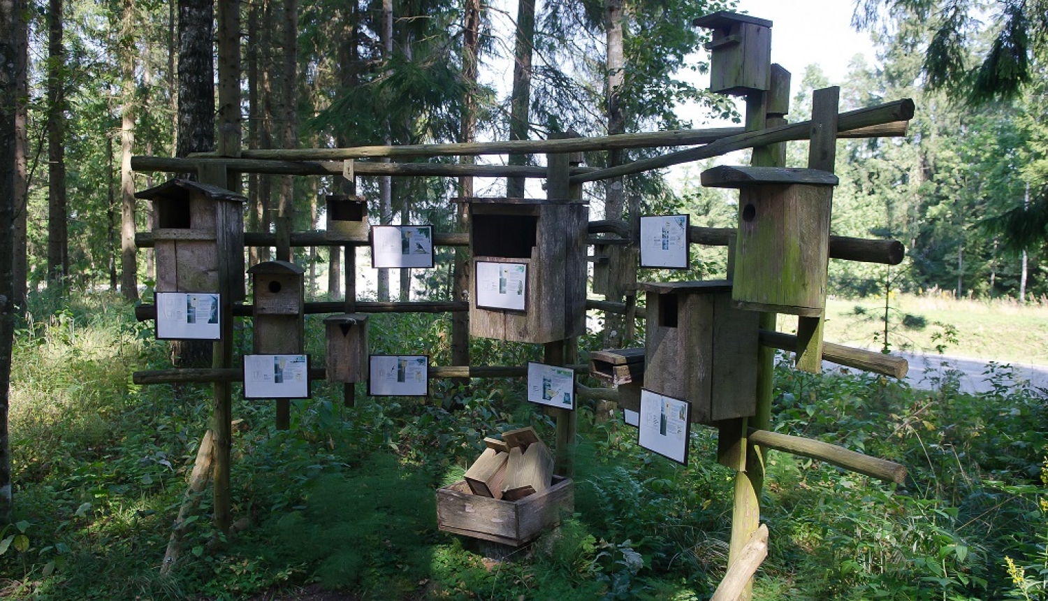 URDAS vides izglītības piedāvājumā vairāki jaunumi