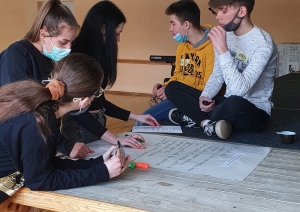 līdzdalības karuselis