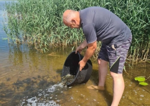 Pavairoti līdaku mazuļi divos Balvu novada ezeros