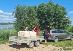 Pavairoti līdaku mazuļi divos Balvu novada ezeros