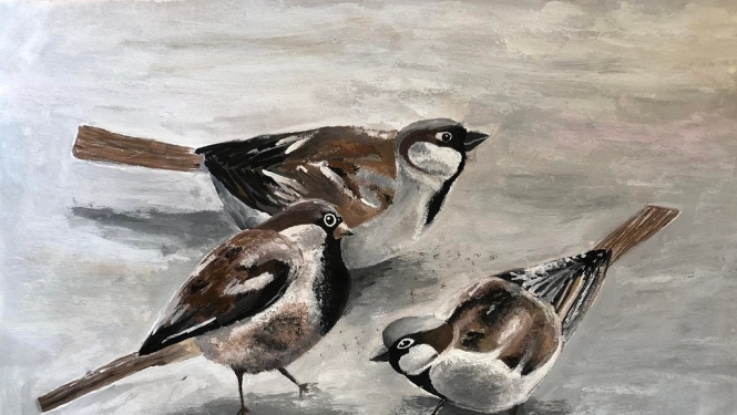 Noslēdzies radošo darbu konkurss “Putni”