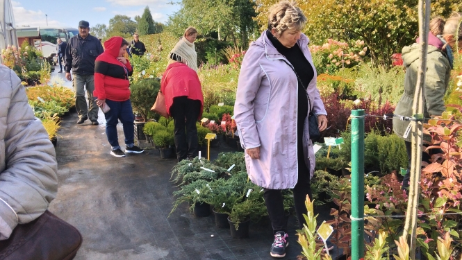 Ir vērtīgi ne tikai darīt interesantas un labas lietas pie sevis mājās,bet arī paskatīties, kā dzīvo kaimiņi