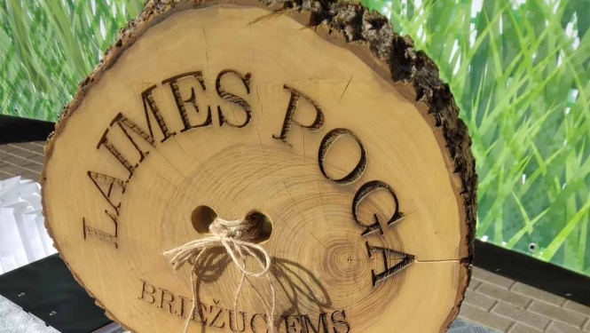 Briežuciema pagasta svētki „Piepogā sevi Briežuciemam’’