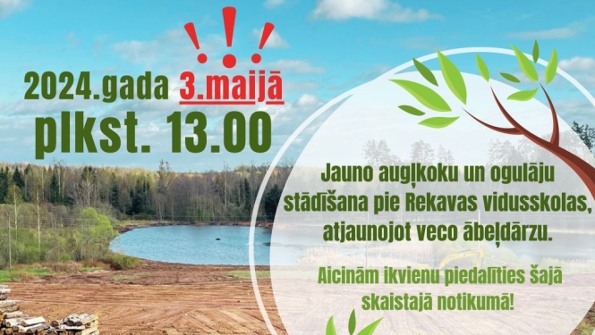 Pie Rekavas vidusskolas atjaunos veco ābeļdārzu
