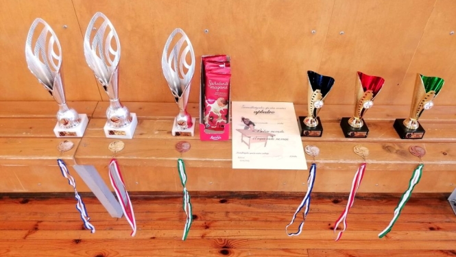 Balvu novada atklātais čempionāts novusā