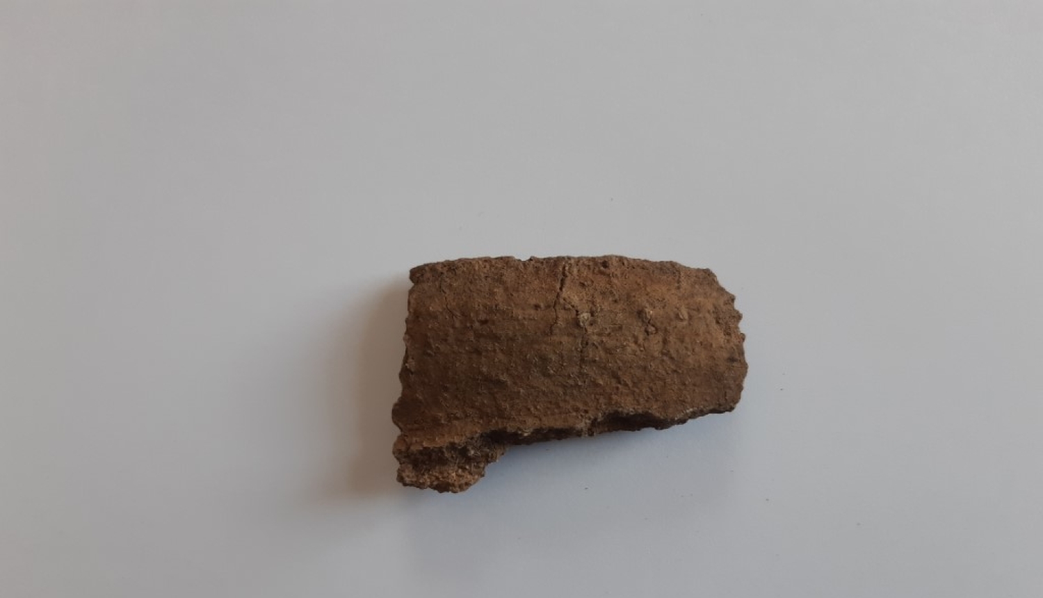 Viļakas muzejā lekcija “Loginu senkapu 2019.gada izpētes rezultāti”