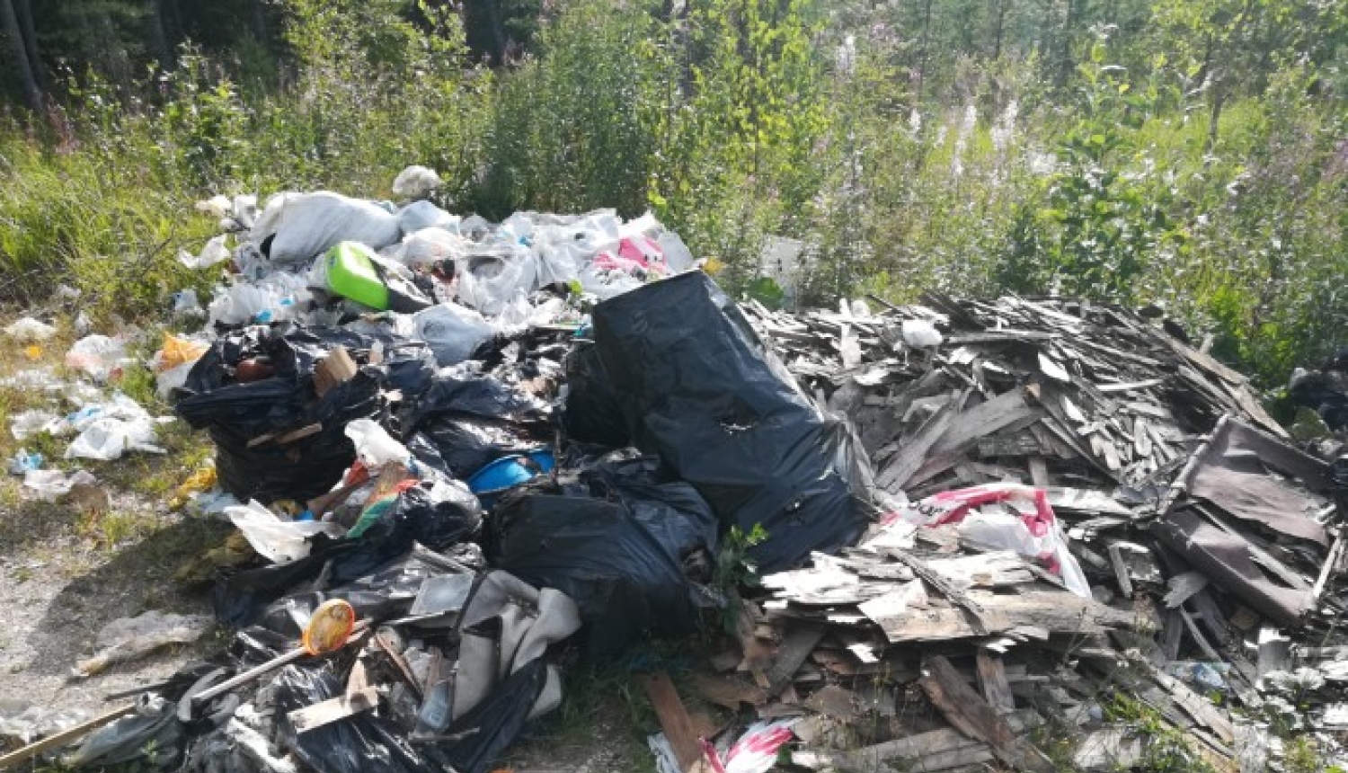 Dabā izgāzti atkritumi