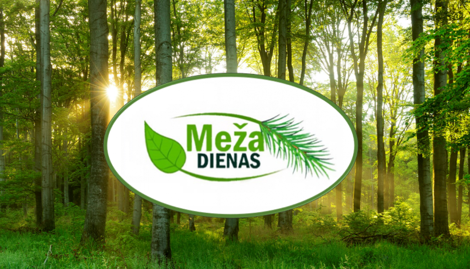 26. septembrī aicina piedalīties "Meža dienu 2023" seminārā Balvos 
