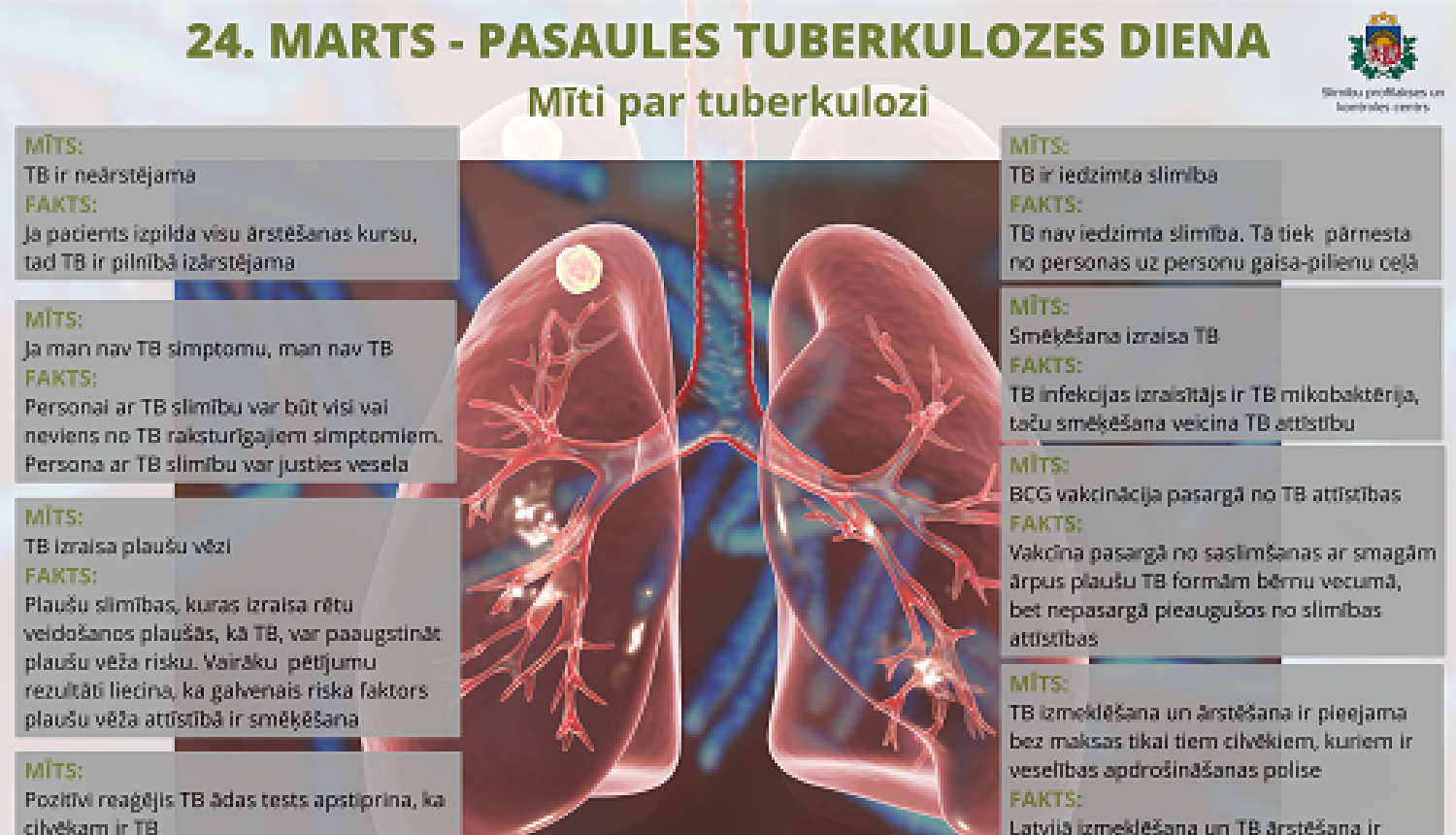 Attēls ar palušām